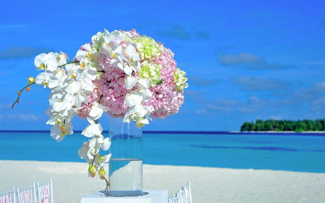 Célébrant de cérémonie laique de mariage à Saint-Maximin