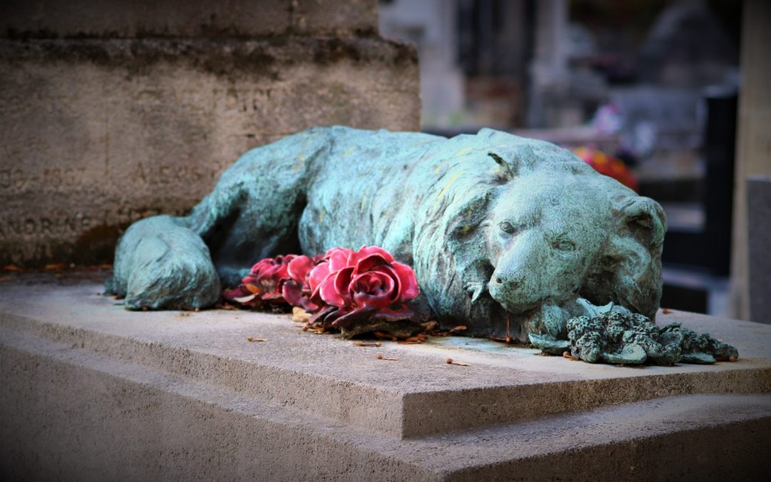 Célébrant de cérémonie laique de mariage en Provence